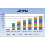 高唐如何防止SEO关键词排名下降